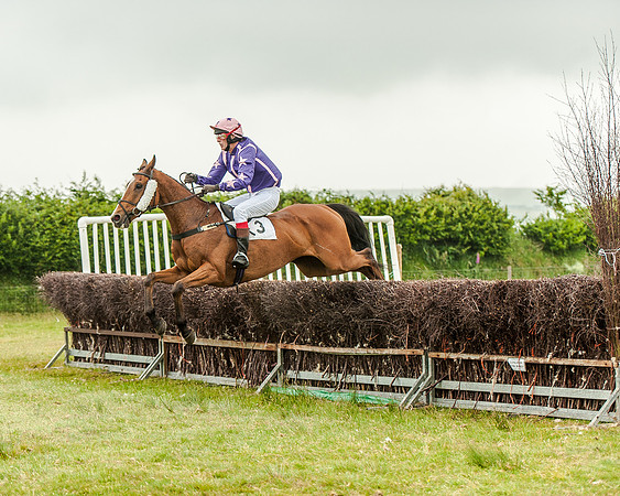 Race 1 - Hunt Members Race (27 of 37).jpg