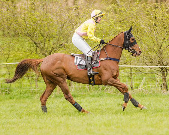 Race 2 - Open Maiden  (60 of 170).jpg