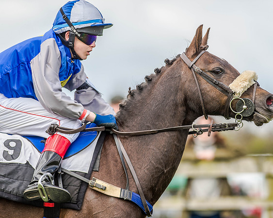 Pony Race 2 (72 of 77).jpg