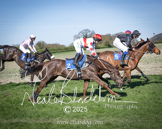 Race 6 - Veteran horse (65 of 109)