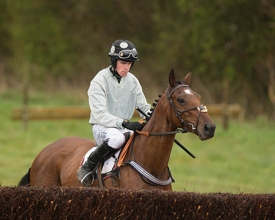 Race 5 - Open Maiden (66 of 147).jpg