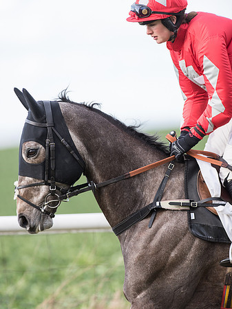 Race 6 - Open Maiden (26 of 110).jpg