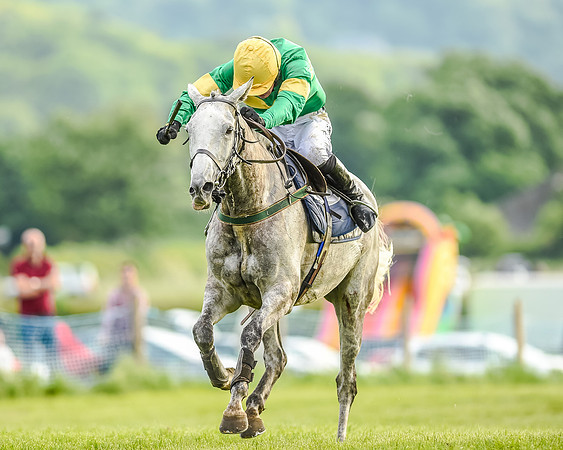 Race 7 - Div 2 - Open Maiden (128 of 163).jpg