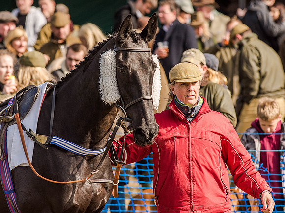 Race 5 - The Southern Grand national (3 of 96).jpg