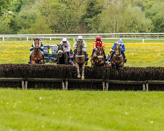 Race 2 - Intermediate Race (37 of 83).jpg