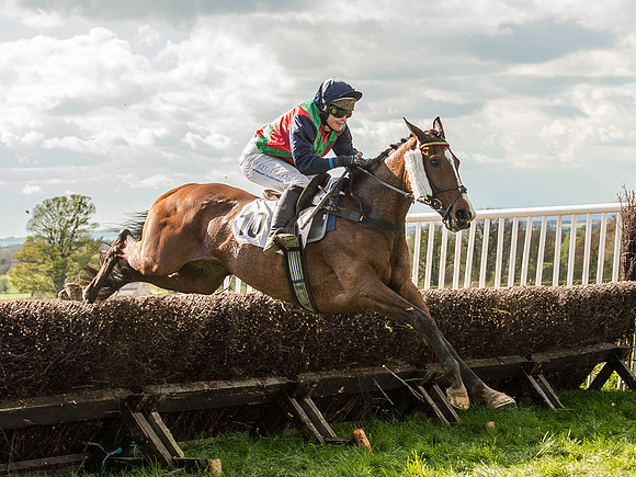 Race 5 - The Southern Grand national (48 of 96).jpg