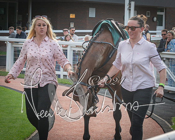 Race 5 - Mares Open Hunter Steeplechase 3m2f 70y (23 of 269)