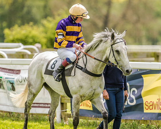 Pony Race 3 (51 of 56).jpg