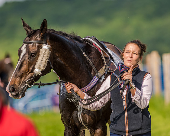 Race 7 - Div 1 - Open Maiden (8 of 94).jpg
