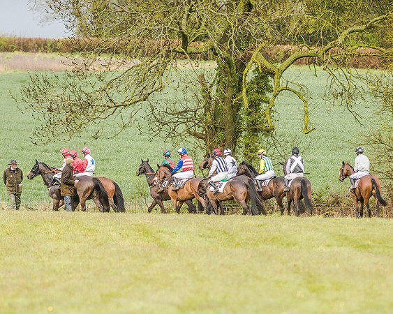 Race 5 - Open Maiden (80 of 147).jpg