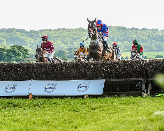 Race 7 - Div 1 - Open Maiden (29 of 94).jpg