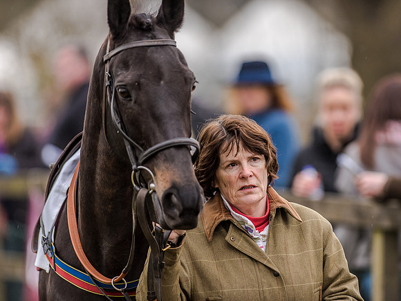Race 5 - Open Maiden Division 2 (8 of 112).jpg