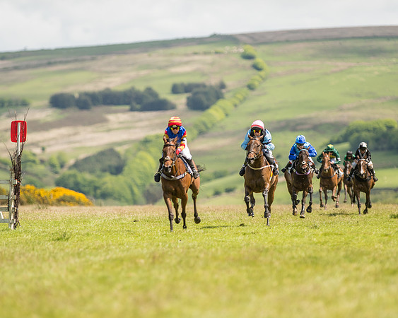 Pony Race 2  (20 of 33).jpg