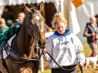 Race 6 - The Open Maiden (7 of 122).jpg