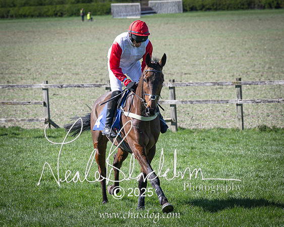 Race 4 - Mixed Open (40 of 168)