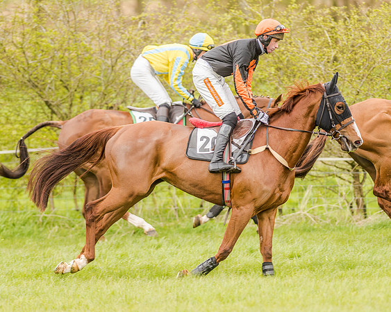 Race 2 - Open Maiden  (55 of 170).jpg