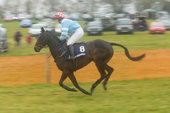 Race 4 - Rectricted Race (37 of 133).jpg