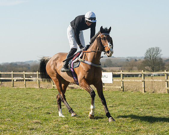Race 1 Div 1 - 2M4F Maiden (35 of 117).jpg