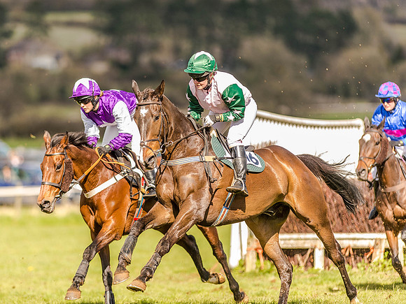 Race 4 - Ladies Open [Nov-Vet] (29 of 82).jpg