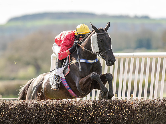 Race 5 - The Southern Grand national (51 of 96).jpg