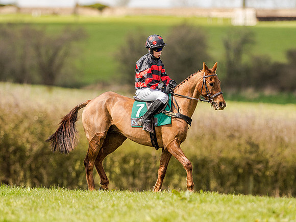 Pony Races (5 of 127).jpg