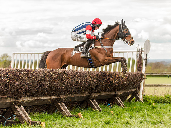 Race 3 - Young Horse maiden 2m5f (94 of 124).jpg