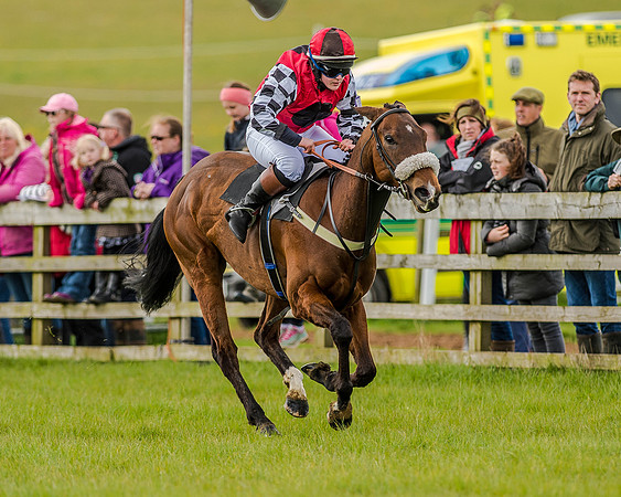 Pony Race 3 (32 of 78).jpg