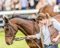 Pony Race 3 (8 of 56).jpg