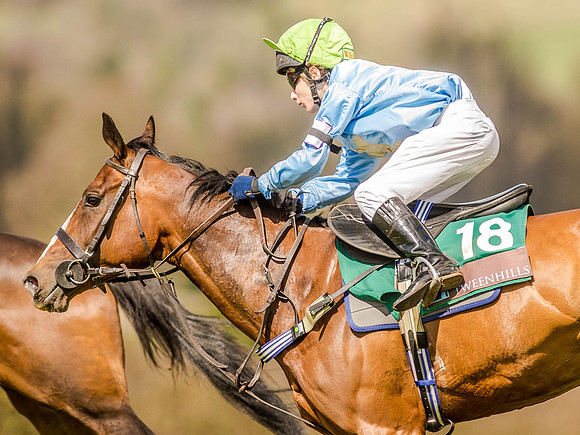 Pony Races (121 of 127).jpg