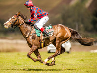 Pony Races (11 of 127).jpg