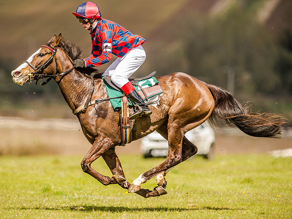 Pony Races (11 of 127).jpg