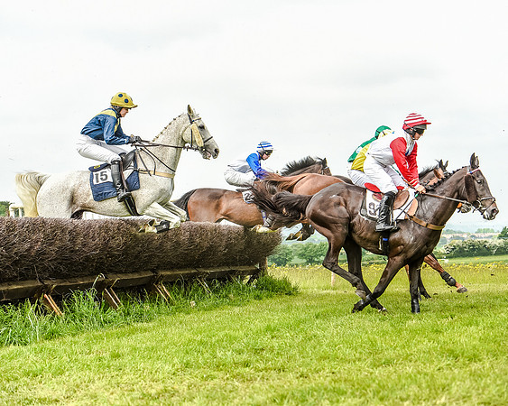 Race 2 - PPORA Members Novice Riders  (54 of 112).jpg