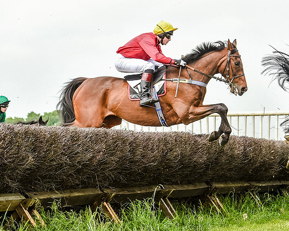Race 2 - PPORA Members Novice Riders  (47 of 112).jpg
