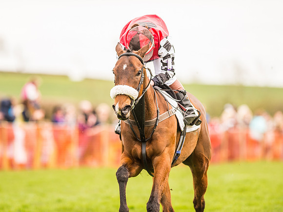 Pytchley Pony Races (110 of 167).jpg