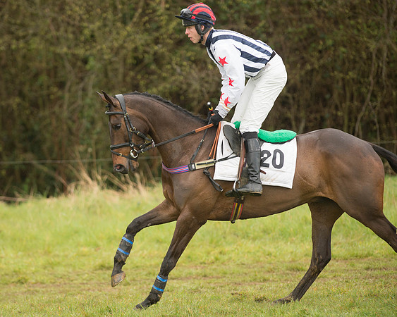 Race 5 - Open Maiden (56 of 147).jpg