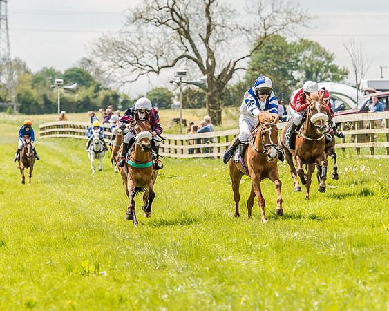 Pony Race 2 (46 of 57).jpg