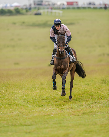 Race 2 - Open Maiden Race (6 of 80).jpg