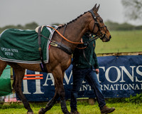 Race 4 - Aga Mixed Open (13 of 115).jpg