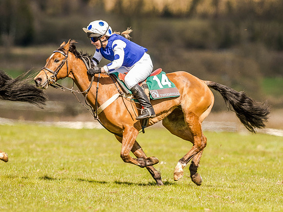 Pony Races (72 of 127).jpg