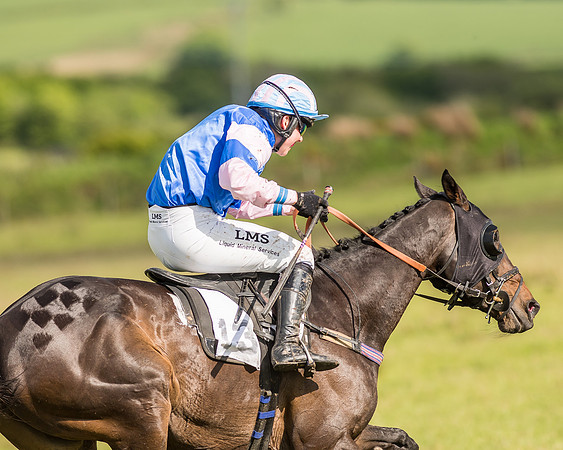 Race 6 - Open Maiden Race (66 of 71).jpg