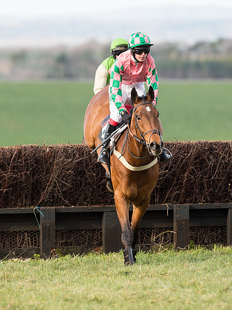 Race 6 - Open Maiden (47 of 110).jpg