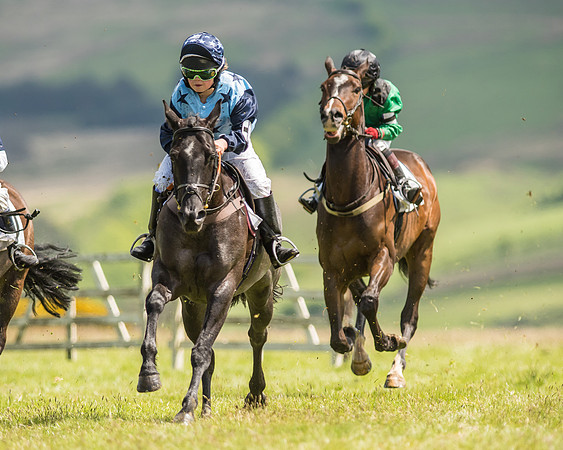 Pony Race 2  (5 of 33).jpg