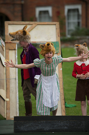 Fantastic Mr Fox 98