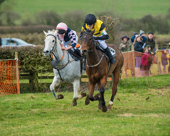 Pony Race 3 (34 of 67)