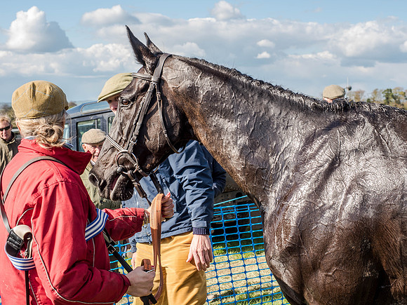 Race 5 - The Southern Grand national (79 of 96).jpg