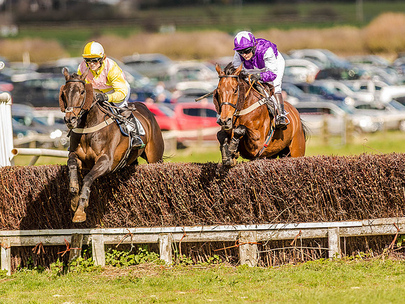 Race 4 - Ladies Open [Nov-Vet] (38 of 82).jpg