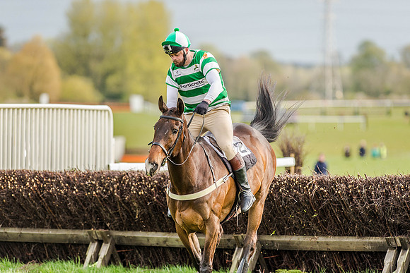 Race 8 - Hunt Challenge (36 of 96).jpg