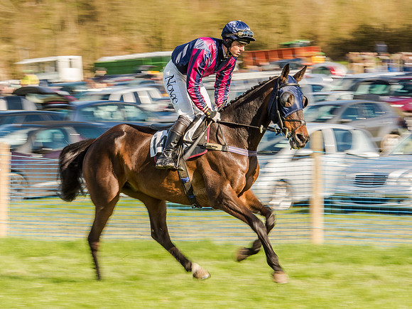 Race 6 - The Open Maiden (24 of 122).jpg