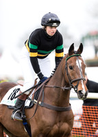 Race 7 - PPORA Novice Riders-8