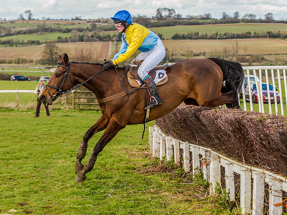Race 6 - The Restricted Race [Nov-Vet] (57 of 84).jpg